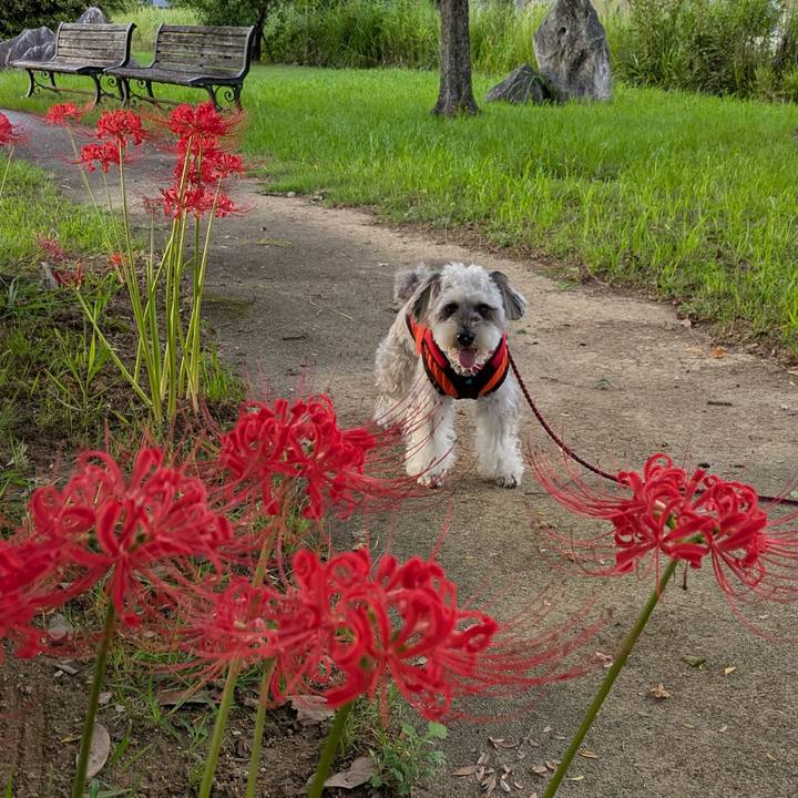 C4798014 3184 408d bac6 89369c596f6d 1759059808158