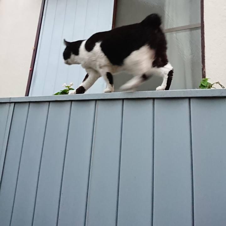 C479bb3e 1f44 40ea 9b7d 6e67a7b44705 1603009916100