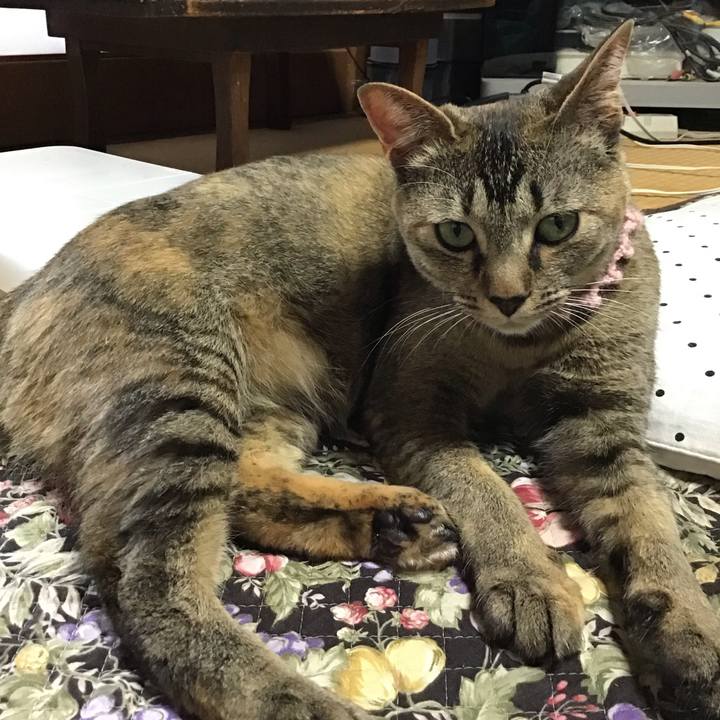 C47a24c0 4746 404a a379 82dd4ed02913 1591002249141