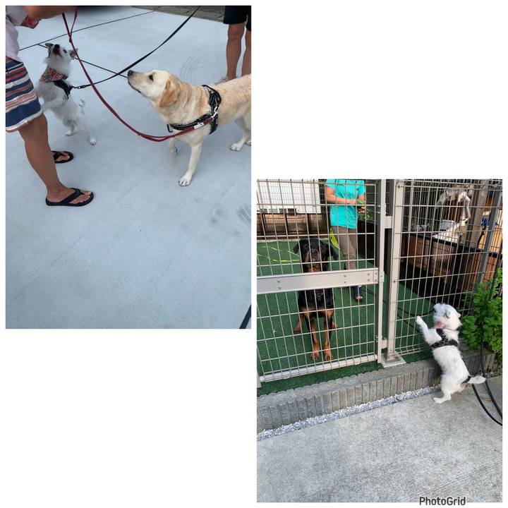 C47a5c37 2a1e 450a 9f06 2ca34235a47b 1721380641840