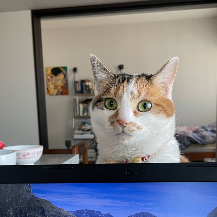 C47a6e49 a4a5 4bc5 add9 6b5be640047e 1646005875092