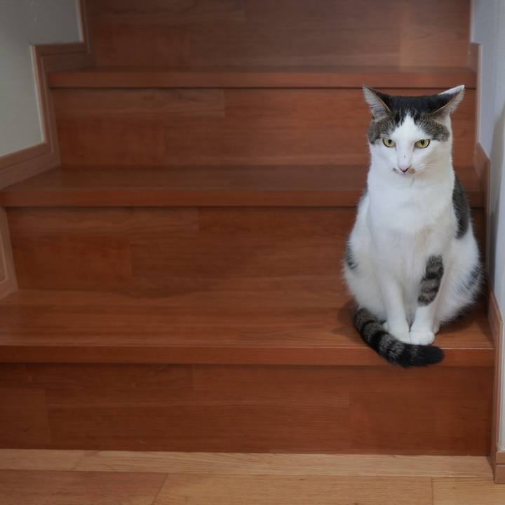 C47aab24 f124 4701 9933 3a3f103d70b4 1587567637829