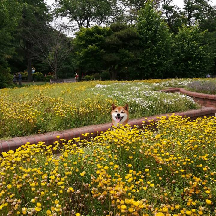 C47ab298 711f 4f49 a0e3 9e10c16fe10e 1653048560529