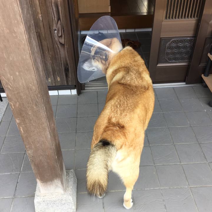 C47ad25b d741 46bf 9c24 2a4b1d72b016 1526796488429