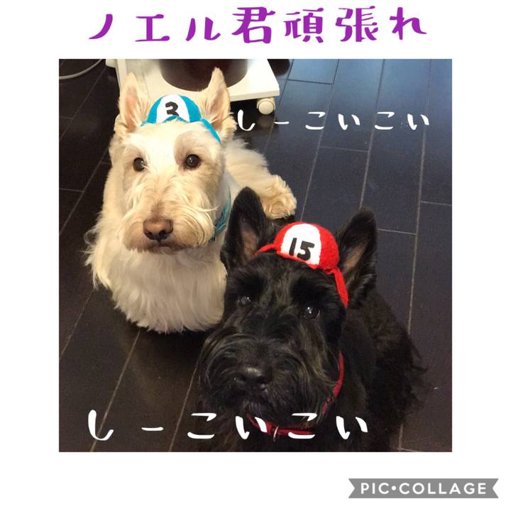 C47b114b aa97 4e71 8cd2 672ba37a981f 1568381073292