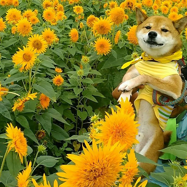 C47b13b7 00bd 49a7 9498 51288f10143b 1567217118306