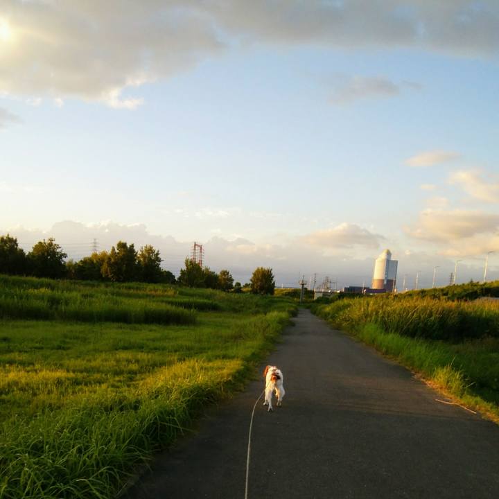 C47b2750 63c9 447f 91ce d34d44eafb1a 1535976492494