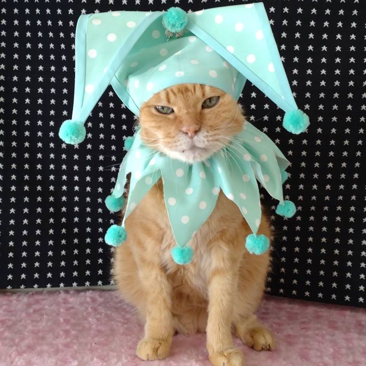 C47b64bb 73fa 4047 918f 1c68ffe86cba 1695726932076