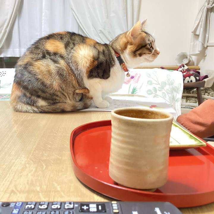 C47b873e 4f56 457a a9f1 fb614bf63537 1677662513018