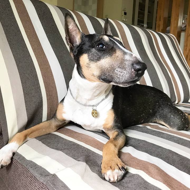 C47ba275 e462 4c3c bff7 0ff9f012479d 1528524481228