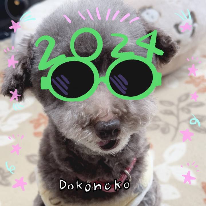 C47bb713 a145 4913 b298 3e8ee4102d46 1704079631178