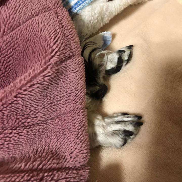 C47bba09 d3cb 4098 84a6 f2d3705f5a5a 1512335103959