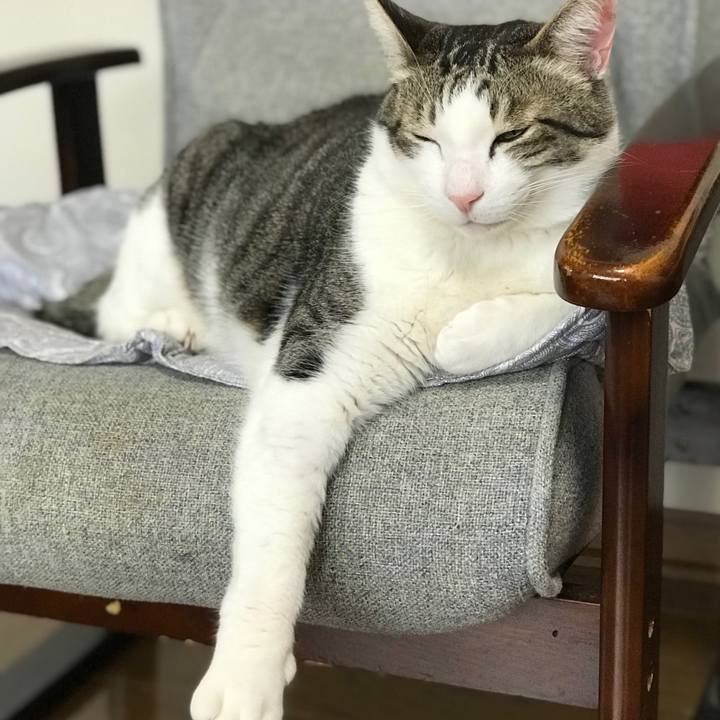 C47be7fb ca5a 48e1 918c ea155d2cf47e 1552957235449