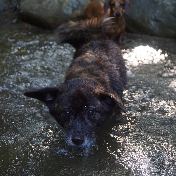 C47bfbb1 c62c 4bfb 815b f8fcc4728510 1566489407713