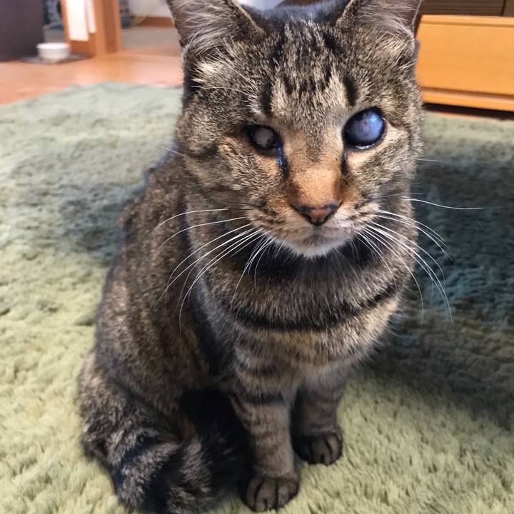 C47c0153 f106 45c7 ad7d 2e8002ded8ac 1615163768681