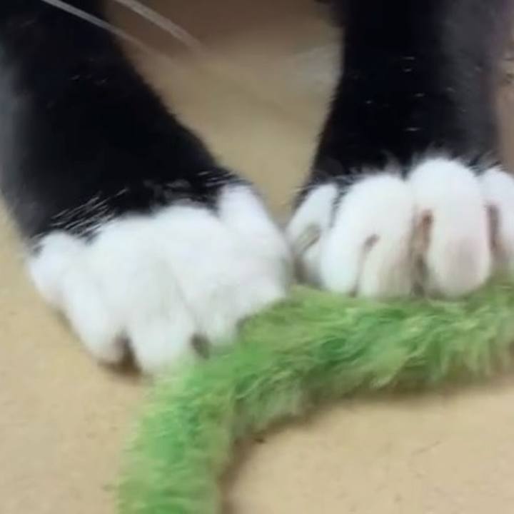 C47c7393 66bb 4097 88fd 861ee0dd929a 1728536596148