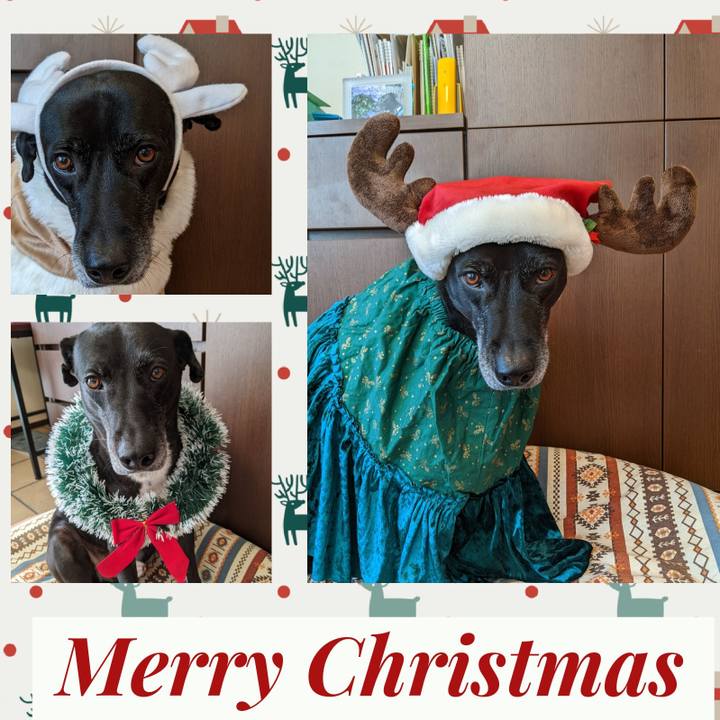 C47c8384 08fc 4e98 affe 10309f5667a8 1703502749851