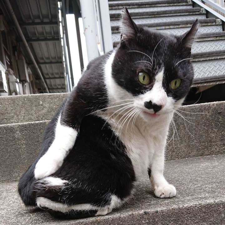 C47c97e6 a466 4ef8 9679 263fd282743d 1548480075970