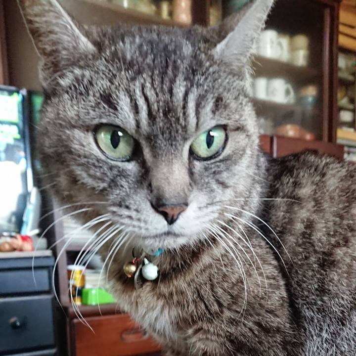 C47c9c81 e4ad 41a1 b035 43822f220cea 1555111883443