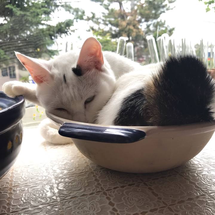 C47cb711 737d 4949 97d2 95bdac998df2 1591482992051