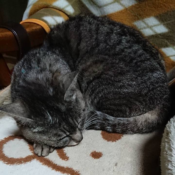 C47d0e6c d4ca 4e45 99c9 271e4bd51137 1552218616987