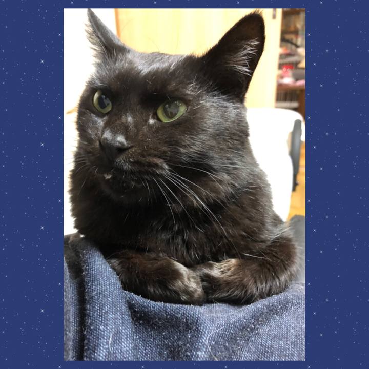 C47dabbc 0d9b 4dc1 9441 bdd0b561e134 1601804554112