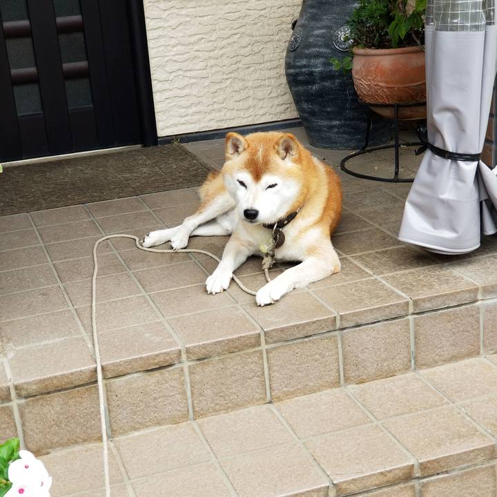 C47ded2e 08a6 43fa 8a07 5f1e60e4c33b 1664324351167