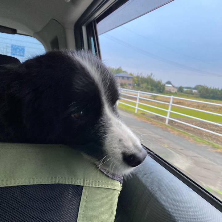 C47df7e8 5871 414a a3b8 50f90b9a45be 1636846507266