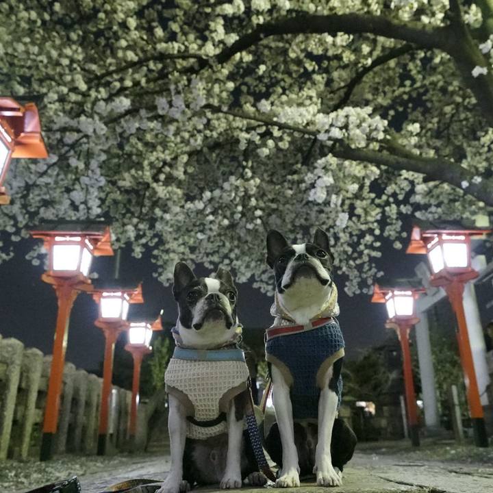 C47e554a 1b1a 48d6 adae f692d7557df4 1522241844339