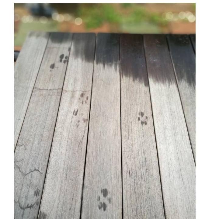 C47eea91 0ec4 4ff2 9ee0 d39ca44b1600 1564741560542