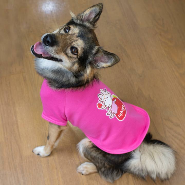 C47eead0 2ee2 42b3 b043 d6b4b479be26 1534941702239