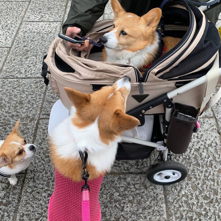 C47eed71 8500 4eb7 a7e0 ec3e830744a8 1583669076347