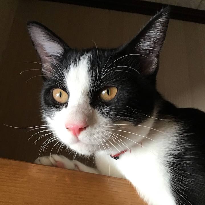 C47ef97d 18f0 4987 abfe 483065d64b9f 1632546730031