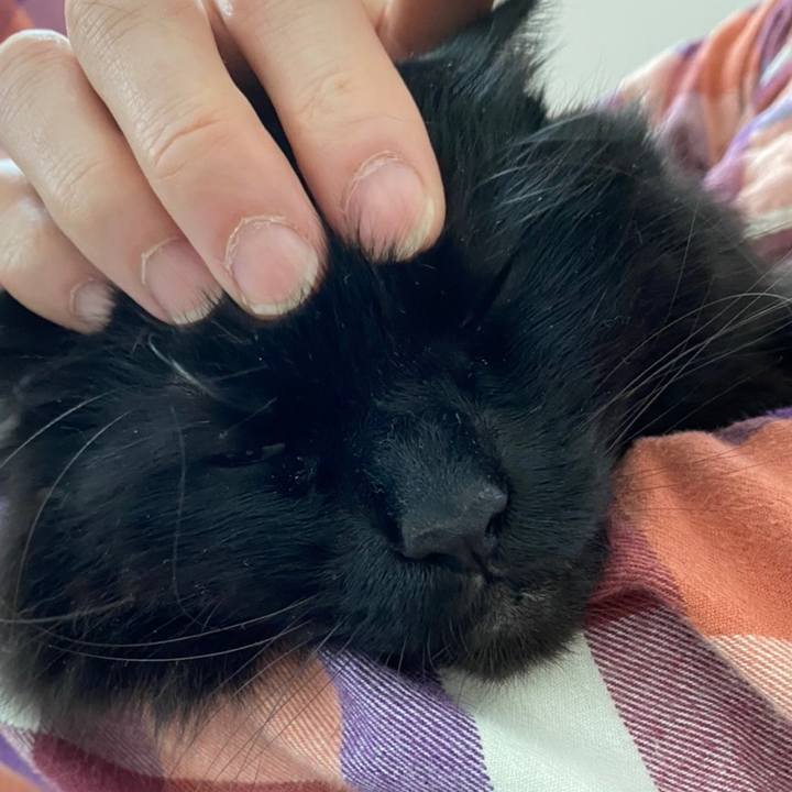 C47f0b36 e812 4ffe bd95 887142827248 1614646497828