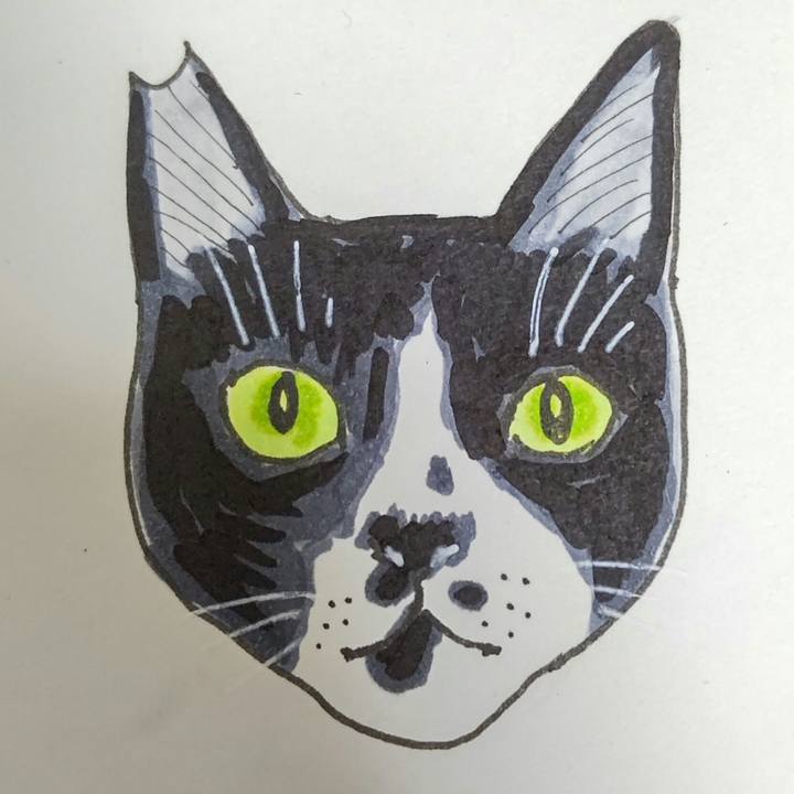 C47f2457 b877 4906 9fcf c9d7119869ac 1612692933314