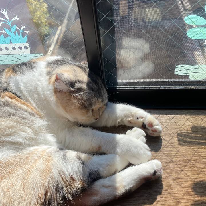 C47f2b23 cf7b 44e9 b792 6c73cdfcf693 1644374525337