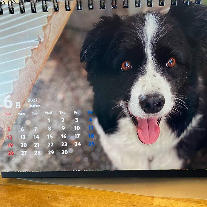 C47f4c4b 6c2e 4bf8 824a 0621a7415888 1654029683007