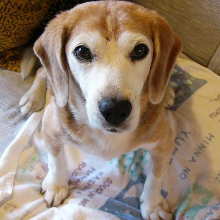 C47f766d 043e 41e9 be95 248387eabda3 1652835133577