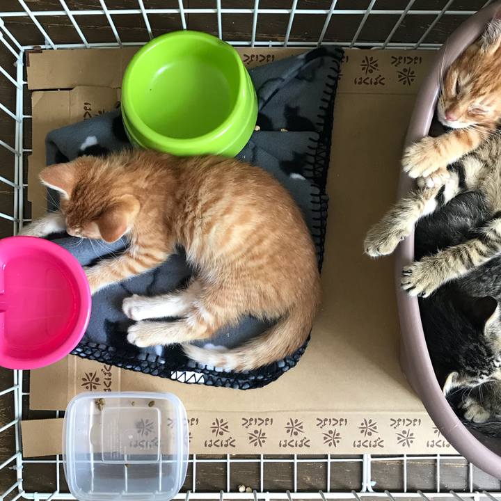 C47f7ebf e2b9 4077 8496 737fe3246eef 1531358218973