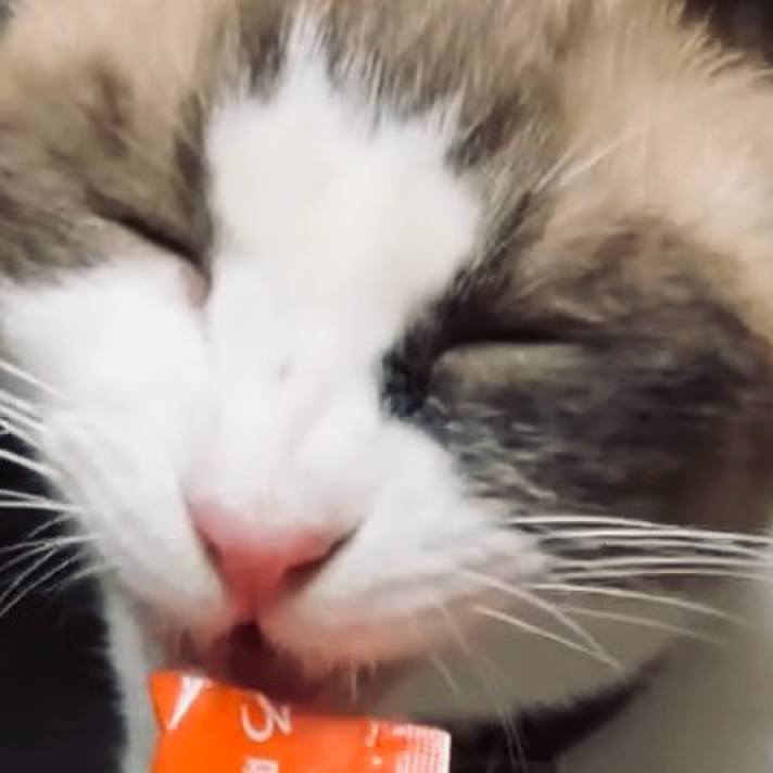 C47f83d3 74fb 42fd 908b ddb9531300e8 1727949379895