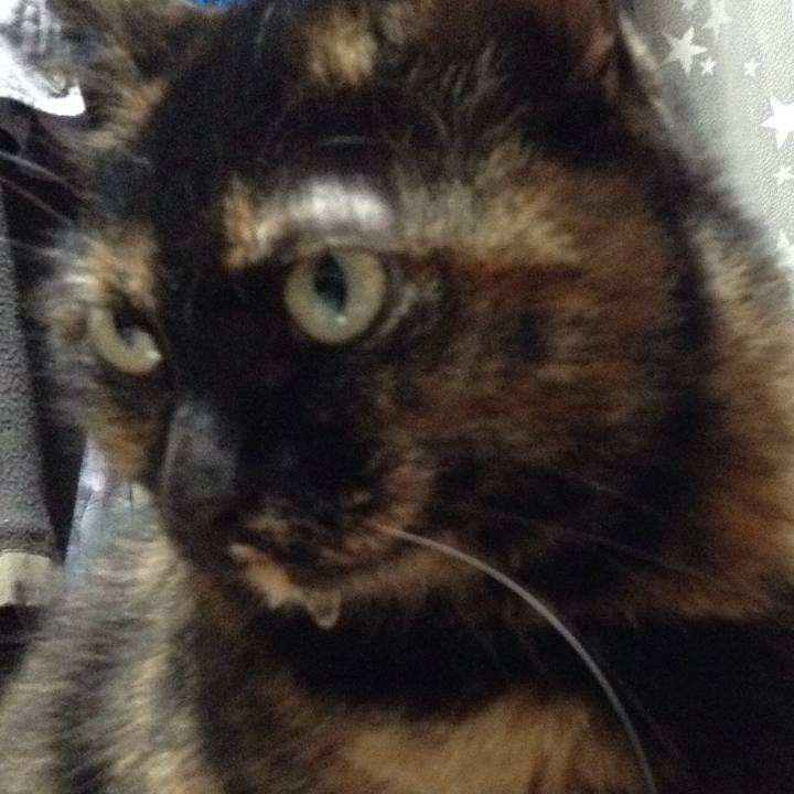 C47f9cca d625 4023 a7de 066804f27bdc 1511353182235