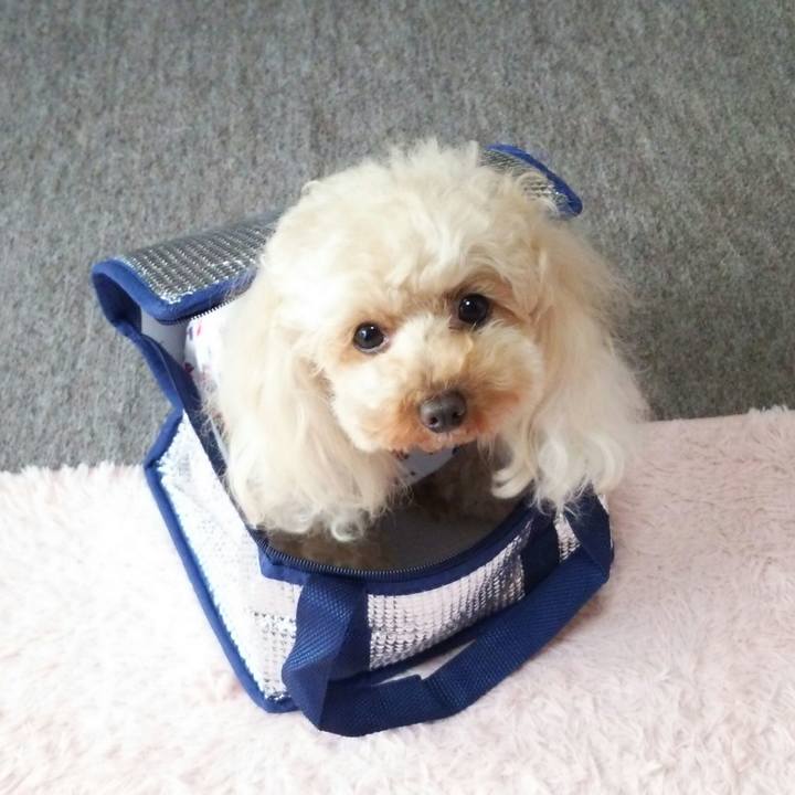 C47fa097 a719 4587 9288 87e0e0589c01 1526428260653