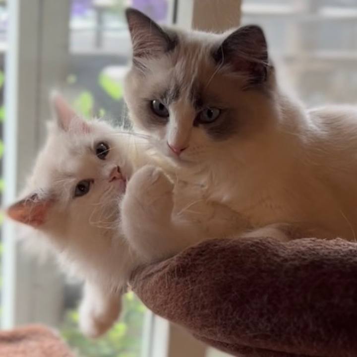 C4802b10 1c0a 430f 96d8 ca418a4d231f 1651490112087