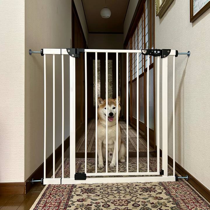 C4808e1e 99d2 4a86 afa6 ad255a05e07d 1721994246361