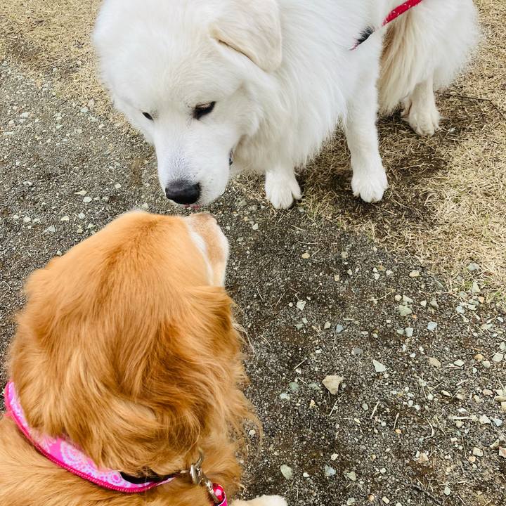 C480cded e339 4189 ae74 a758b38fba51 1775376793419