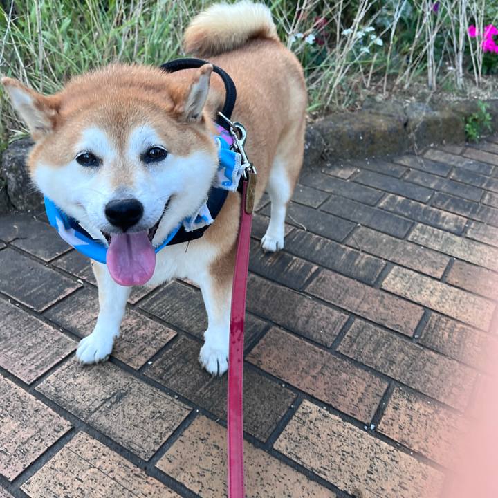 C480d091 ed15 4f50 b5c8 141e5673c219 1691484529507