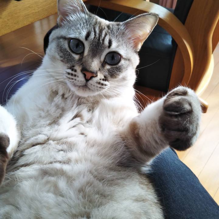 C480f51a 57fb 4b75 ade5 b3ff54988423 1580790781775