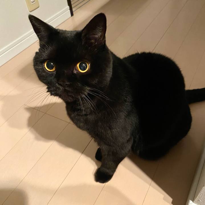 C4810e6c 1759 40cc b96e fe8bf1008cd9 1731073277828