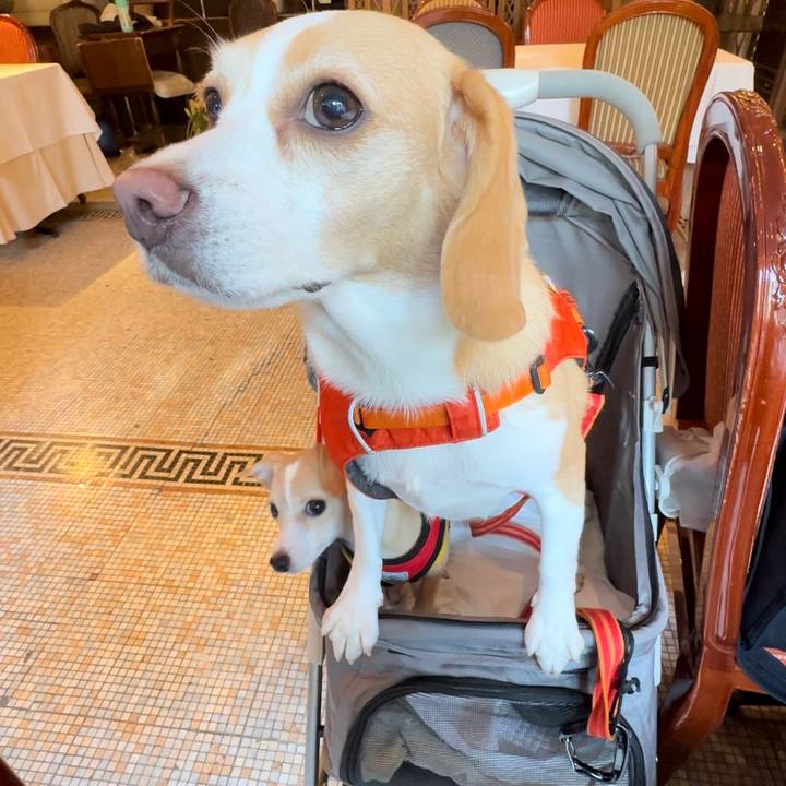 C48136c9 94a6 4f84 86df 149f041676f1 1668814237633