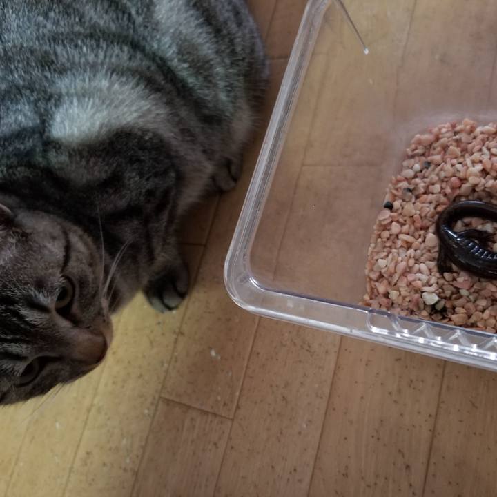 C4813824 8139 4657 8c89 3fa9d35bb182 1683467210921